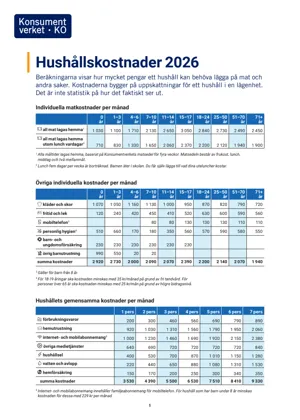 Beräknade hushållskostnader (Bild)