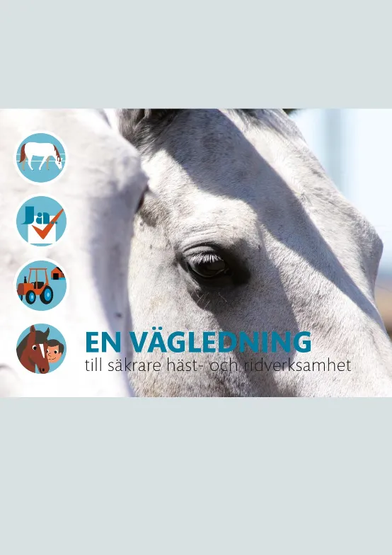 En vägledning till säkrare häst- och ridverksamhet (Bild)